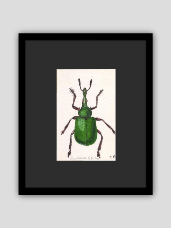 Green Bug