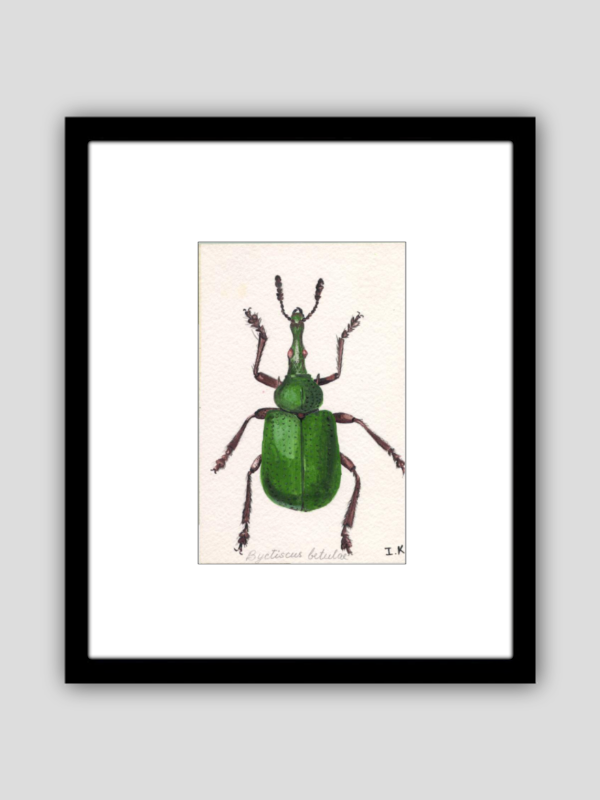 Green Bug